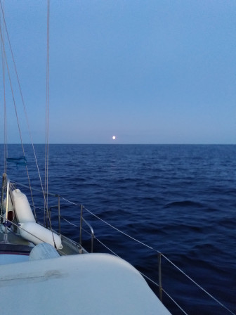 IMG_20200901_211618.jpg, sept. 2020